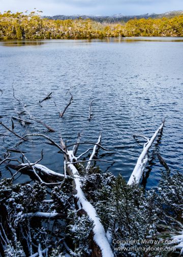 Australia, Lake Dobson, Landscape, Mt Field NP, Nature, Pandani, Photography, Tasmania, Travel, Wilderness