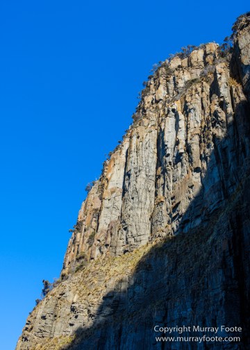Australia, Bruny Island, Fur seal, Landscape, Nature, Photography, seascape, Tasmania, Travel, Wilderness, Wildlife