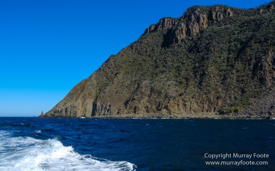 Australia, Bruny Island, Fur seal, Landscape, Nature, Photography, seascape, Tasmania, Travel, Wilderness, Wildlife