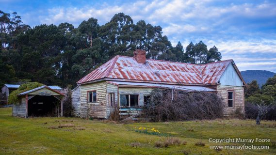 Architecture, Australia, Bennett's Wallaby, Bruny Island, Landscape, Nature, Photography, seascape, Tasmania, Travel, Wildlife