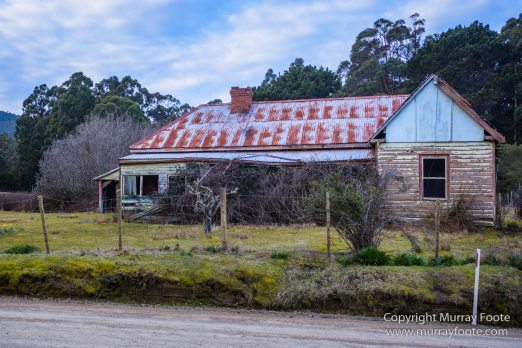 Architecture, Australia, Bennett's Wallaby, Bruny Island, Landscape, Nature, Photography, seascape, Tasmania, Travel, Wildlife