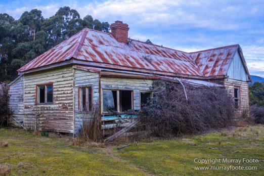 Architecture, Australia, Bennett's Wallaby, Bruny Island, Landscape, Nature, Photography, seascape, Tasmania, Travel, Wildlife
