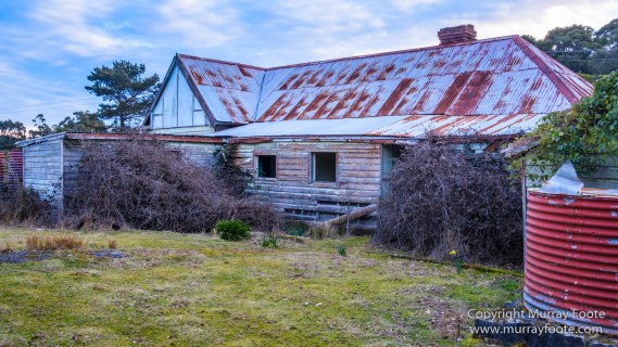Architecture, Australia, Bennett's Wallaby, Bruny Island, Landscape, Nature, Photography, seascape, Tasmania, Travel, Wildlife