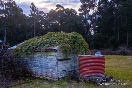 Architecture, Australia, Bennett's Wallaby, Bruny Island, Landscape, Nature, Photography, seascape, Tasmania, Travel, Wildlife