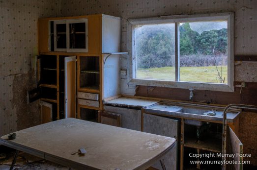 Architecture, Australia, Bennett's Wallaby, Bruny Island, Landscape, Nature, Photography, seascape, Tasmania, Travel, Wildlife