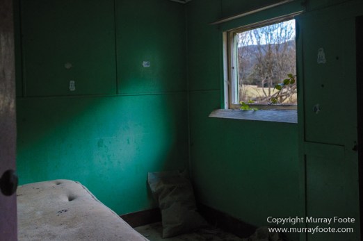 Architecture, Australia, Bennett's Wallaby, Bruny Island, Landscape, Nature, Photography, seascape, Tasmania, Travel, Wildlife