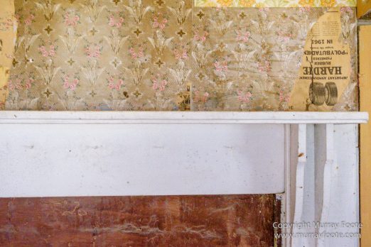 Architecture, Australia, Bennett's Wallaby, Bruny Island, Landscape, Nature, Photography, seascape, Tasmania, Travel, Wildlife