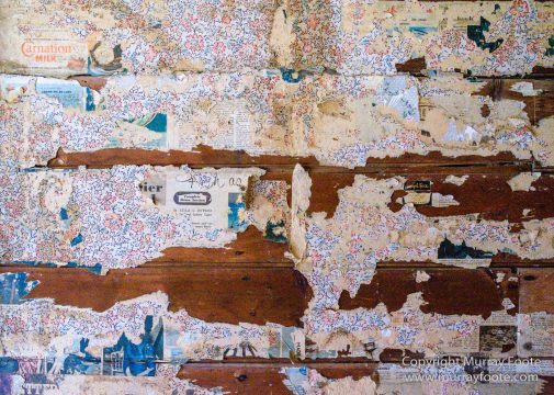 Architecture, Australia, Bennett's Wallaby, Bruny Island, Landscape, Nature, Photography, seascape, Tasmania, Travel, Wildlife