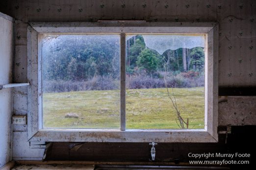 Architecture, Australia, Bennett's Wallaby, Bruny Island, Landscape, Nature, Photography, seascape, Tasmania, Travel, Wildlife