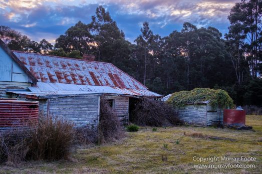 Architecture, Australia, Bennett's Wallaby, Bruny Island, Landscape, Nature, Photography, seascape, Tasmania, Travel, Wildlife