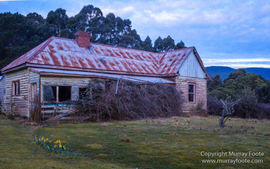 Architecture, Australia, Bennett's Wallaby, Bruny Island, Landscape, Nature, Photography, seascape, Tasmania, Travel, Wildlife