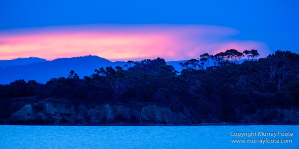 Architecture, Australia, Bennett's Wallaby, Bruny Island, Landscape, Nature, Photography, seascape, Tasmania, Travel, Wildlife