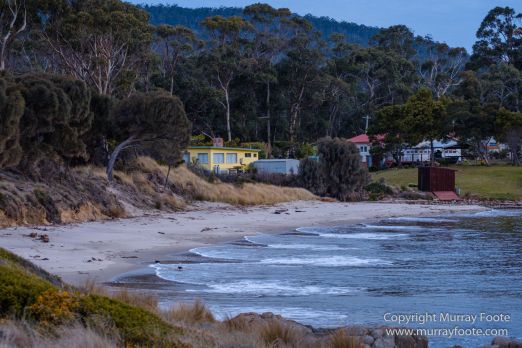 Architecture, Australia, Bennett's Wallaby, Bruny Island, Landscape, Nature, Photography, seascape, Tasmania, Travel, Wildlife