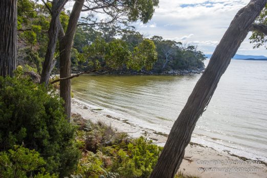 Australia, Bruny Island, Cloudy Bay, Jetty Beach, Landscape, Nature, Photography, seascape, Surfing, Tasmania, The Neck, Travel
