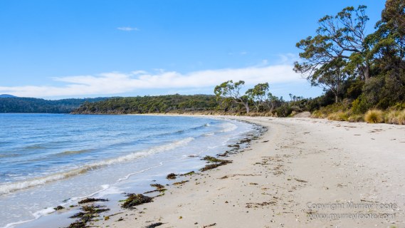 Australia, Bruny Island, Cloudy Bay, Jetty Beach, Landscape, Nature, Photography, seascape, Surfing, Tasmania, The Neck, Travel