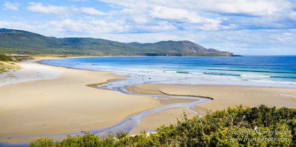 Australia, Bruny Island, Cloudy Bay, Jetty Beach, Landscape, Nature, Photography, seascape, Surfing, Tasmania, The Neck, Travel