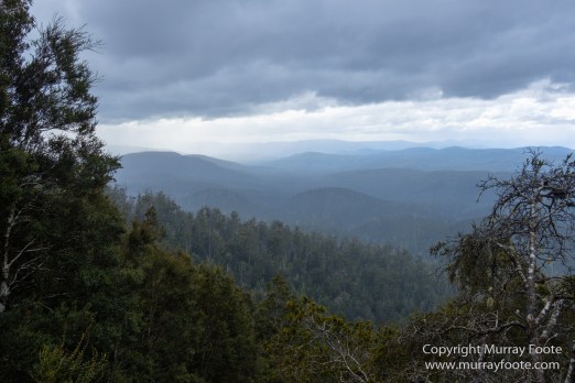 Australia, Landscape, Mount Hartz National Park, Nature, Photography, Tasmania, Travel, Wilderness