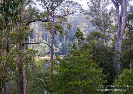 Australia, Landscape, Nature, Photography, Tahune Air Walk, Tasmania, Travel, Wilderness