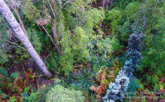 Australia, Landscape, Nature, Photography, Tahune Air Walk, Tasmania, Travel, Wilderness