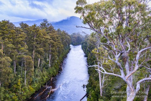 Australia, Landscape, Nature, Photography, Tahune Air Walk, Tasmania, Travel, Wilderness