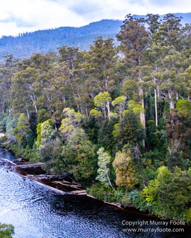 Australia, Landscape, Nature, Photography, Tahune Air Walk, Tasmania, Travel, Wilderness