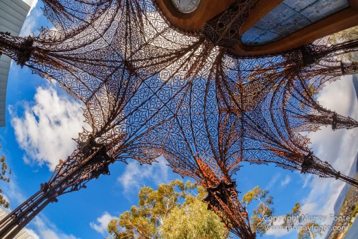 Australia, Battery Point, Hobart, Landscape, MoNA, Nature, Photography, Tasmania, Travel, Wilderness