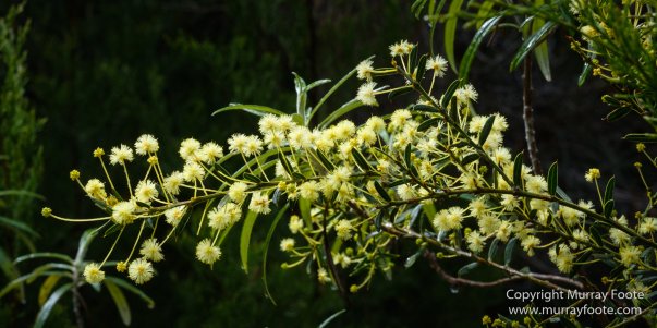 Australia, Cape Hauy, Fortescue Bay, Landscape, Lighthouses, Nature, Photography, seascape, Tasmania, Travel, Wilderness