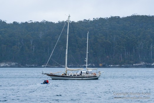 Australia, Cape Hauy, Fortescue Bay, Landscape, Lighthouses, Nature, Photography, seascape, Tasmania, Travel, Wilderness