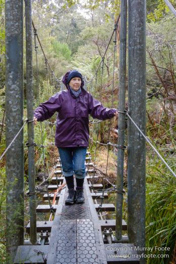 Australia, Canoe Bay, Fortescue Bay, Landscape, Macro, Nature, Photography, seascape, Tasmania, Travel, Wilderness