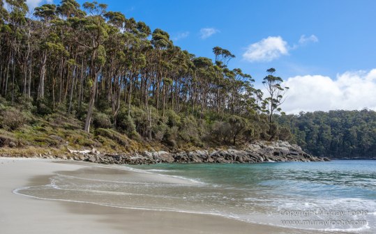 Australia, Canoe Bay, Fortescue Bay, Landscape, Macro, Nature, Photography, seascape, Tasmania, Travel, Wilderness