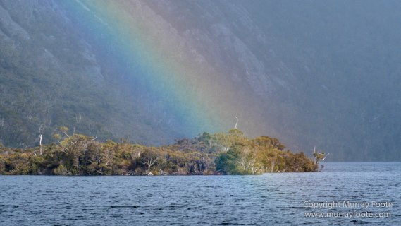 Australia, Bennett's Wallaby, Cradle Lake, Landscape, Mt Field NP, Nature, Pademelon, Photography, Russell Falls, Tasmania, Travel, Waterfall, Wilderness, Wildlife