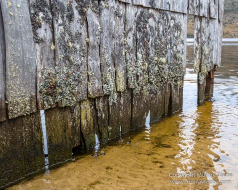 Australia, Bennett's Wallaby, Cradle Lake, Landscape, Mt Field NP, Nature, Pademelon, Photography, Russell Falls, Tasmania, Travel, Waterfall, Wilderness, Wildlife