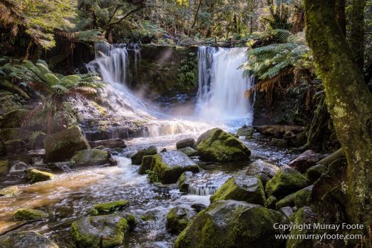 Australia, Bennett's Wallaby, Cradle Lake, Landscape, Mt Field NP, Nature, Pademelon, Photography, Russell Falls, Tasmania, Travel, Waterfall, Wilderness, Wildlife