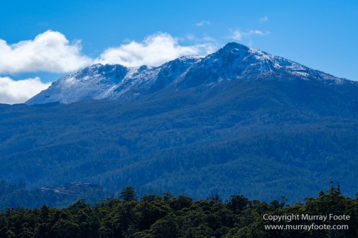 Australia, Creepy-Crawley Trail, Eucalyptus Regnans, Landscape, Nature, Photography, Tasmania, The Styx Valley, Travel, Wilderness
