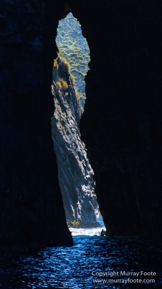 Australia, Bruny Island, Fur seal, Landscape, Nature, Photography, seascape, Tasmania, Travel, Wilderness, Wildlife