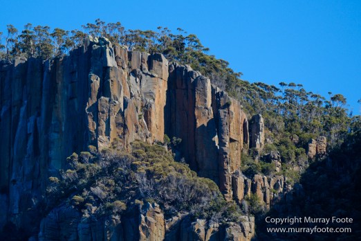 Australia, Bruny Island, Fur seal, Landscape, Nature, Photography, seascape, Tasmania, Travel, Wilderness, Wildlife