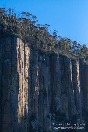 Australia, Bruny Island, Fur seal, Landscape, Nature, Photography, seascape, Tasmania, Travel, Wilderness, Wildlife