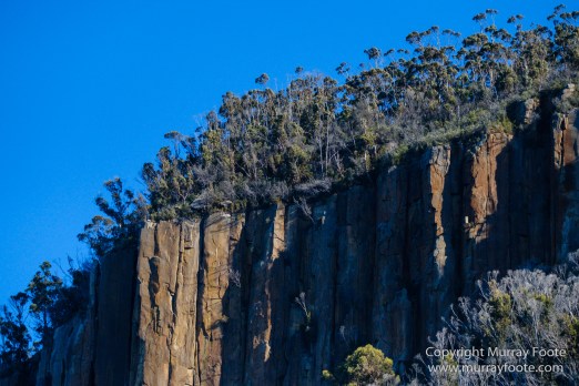 Australia, Bruny Island, Fur seal, Landscape, Nature, Photography, seascape, Tasmania, Travel, Wilderness, Wildlife