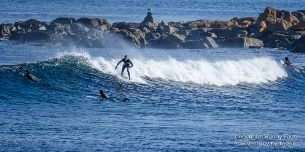 Australia, Bruny Island, Cloudy Bay, Jetty Beach, Landscape, Nature, Photography, seascape, Surfing, Tasmania, The Neck, Travel