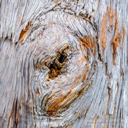 Australia, Landscape, Nature, Photography, Tahune Air Walk, Tasmania, Travel, Wilderness
