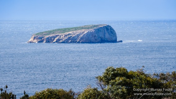 Australia, Cape Hauy, Fortescue Bay, Landscape, Lighthouses, Nature, Photography, seascape, Tasmania, Travel, Wilderness