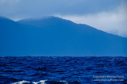 Australia, Dolphins, Fortescue Bay, Ketch, Landscape, Maria Island, Nature, Photography, Sailing, seascape, Tasmania, Travel, Wilderness, Wineglass Bay Sail Walk, Yachts