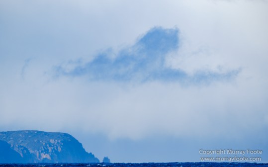Australia, Dolphins, Fortescue Bay, Ketch, Landscape, Maria Island, Nature, Photography, Sailing, seascape, Tasmania, Travel, Wilderness, Wineglass Bay Sail Walk, Yachts