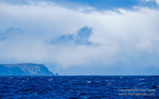 Australia, Dolphins, Fortescue Bay, Ketch, Landscape, Maria Island, Nature, Photography, Sailing, seascape, Tasmania, Travel, Wilderness, Wineglass Bay Sail Walk, Yachts