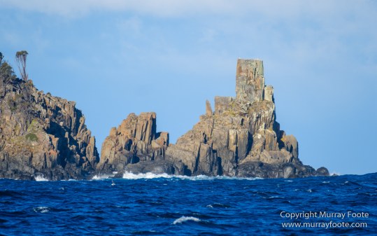Australia, Dolphins, Fortescue Bay, Ketch, Landscape, Maria Island, Nature, Photography, Sailing, seascape, Tasmania, Travel, Wilderness, Wineglass Bay Sail Walk, Yachts