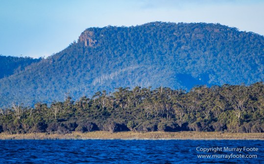 Australia, Dolphins, Fortescue Bay, Ketch, Landscape, Maria Island, Nature, Photography, Sailing, seascape, Tasmania, Travel, Wilderness, Wineglass Bay Sail Walk, Yachts