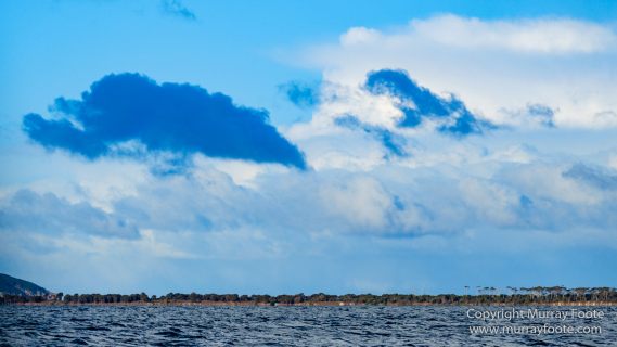 Australia, Dolphins, Fortescue Bay, Ketch, Landscape, Maria Island, Nature, Photography, Sailing, seascape, Tasmania, Travel, Wilderness, Wineglass Bay Sail Walk, Yachts
