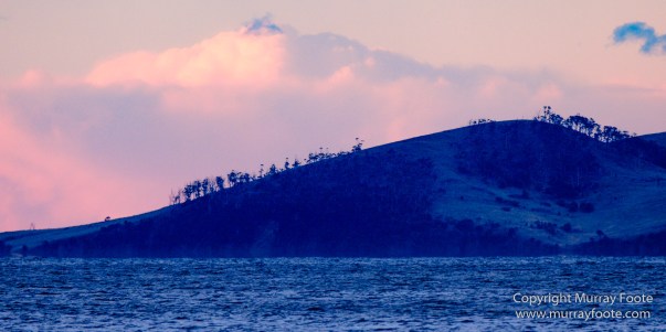 Australia, Dolphins, Fortescue Bay, Ketch, Landscape, Maria Island, Nature, Photography, Sailing, seascape, Tasmania, Travel, Wilderness, Wineglass Bay Sail Walk, Yachts