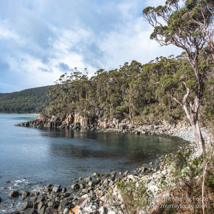 Australia, Canoe Bay, Fortescue Bay, Landscape, Macro, Nature, Photography, seascape, Tasmania, Travel, Wilderness