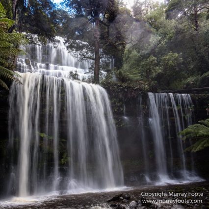 Australia, Bennett's Wallaby, Cradle Lake, Landscape, Mt Field NP, Nature, Pademelon, Photography, Russell Falls, Tasmania, Travel, Waterfall, Wilderness, Wildlife